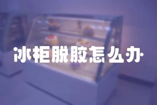 冰柜脫膠怎么辦