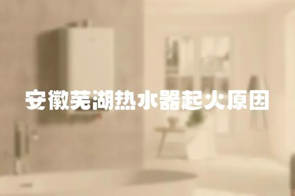 安徽蕪湖熱水器起火原因