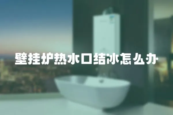 壁掛爐熱水口結(jié)冰怎么辦