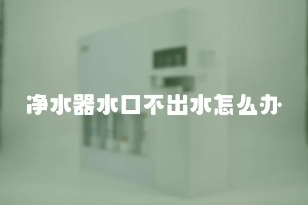 凈水器水口不出水怎么辦