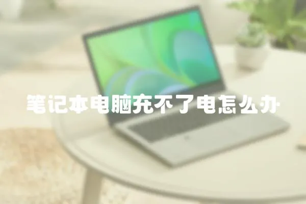筆記本電腦充不了電怎么辦