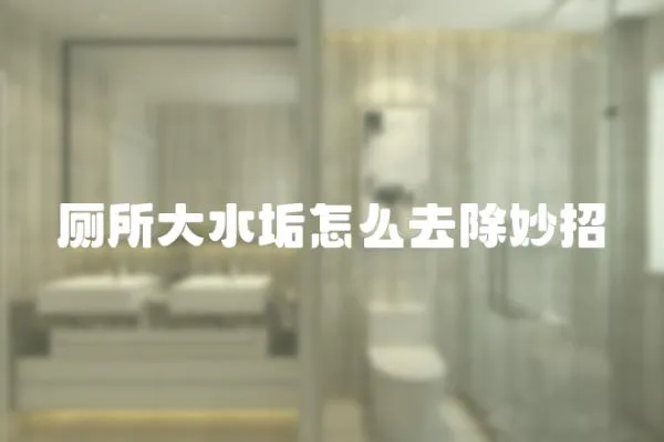 廁所大水垢怎么去除妙招