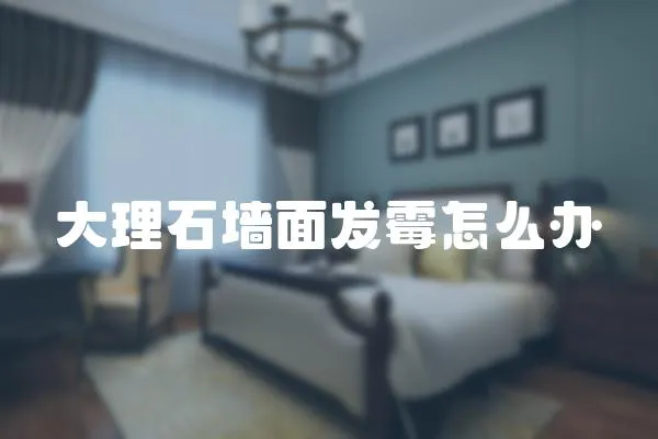 大理石墻面發(fā)霉怎么辦