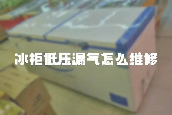 冰柜低壓漏氣怎么維修