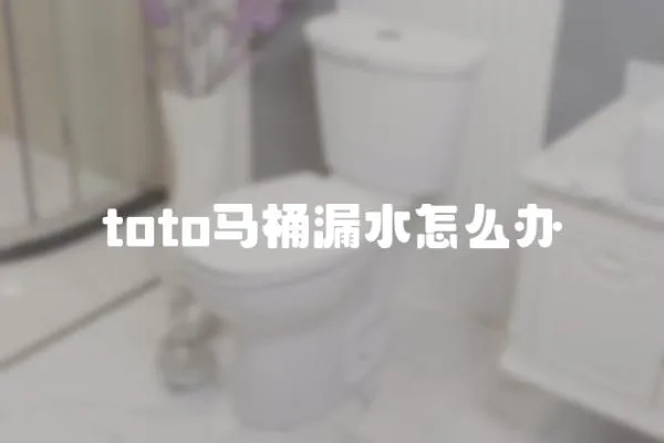 toto馬桶漏水怎么辦