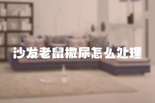 沙發老鼠撒尿怎么處理