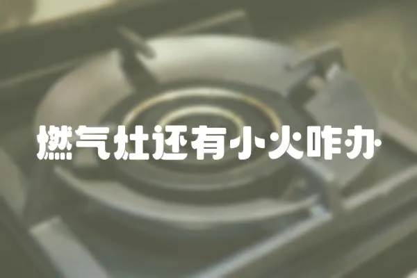 燃氣灶還有小火咋辦