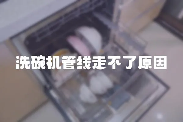 洗碗機管線走不了原因