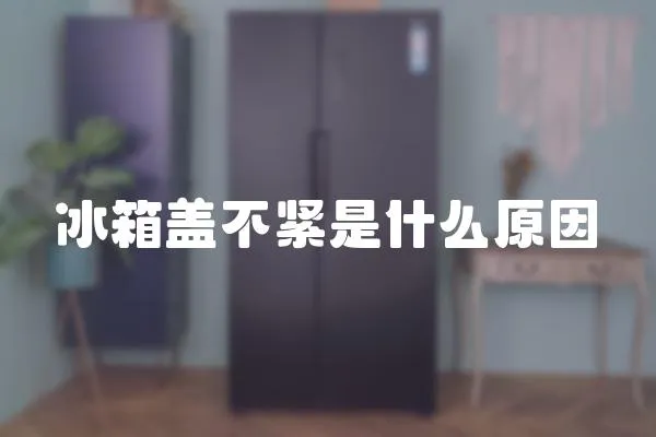 冰箱蓋不緊是什么原因