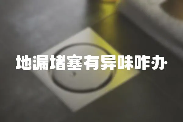 地漏堵塞有異味咋辦