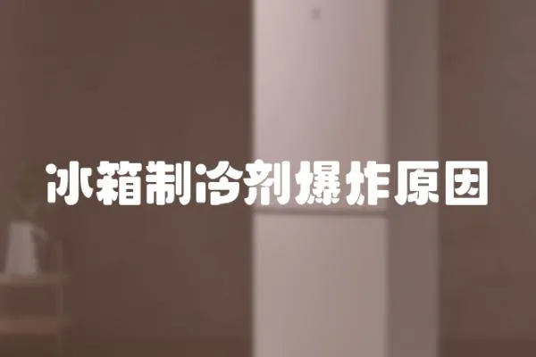 冰箱制冷劑爆炸原因