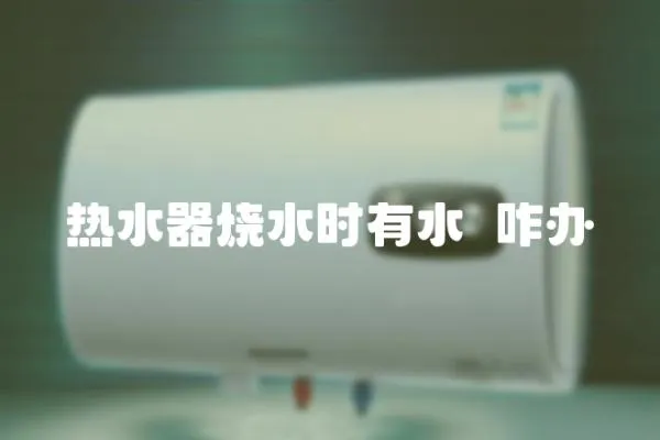 熱水器燒水時有水鷇咋辦