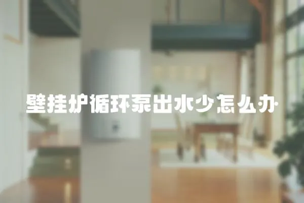壁掛爐循環泵出水少怎么辦