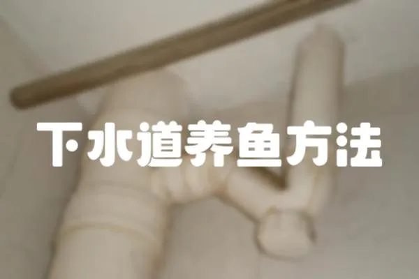 下水道養(yǎng)魚方法