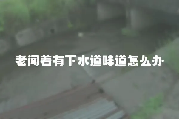 老聞著有下水道味道怎么辦
