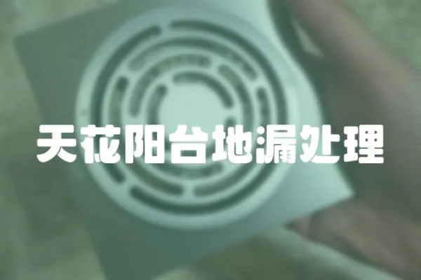 天花陽臺地漏處理