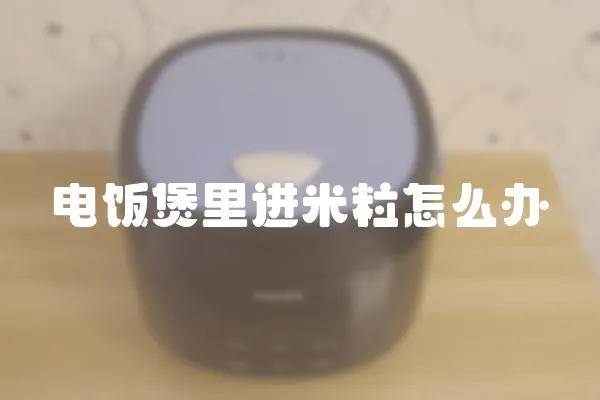 電飯煲里進米粒怎么辦