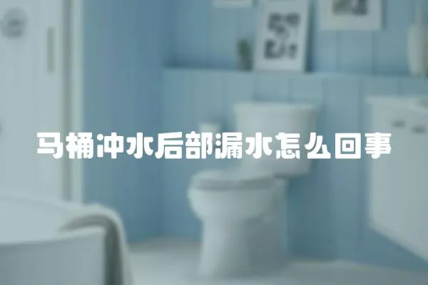 馬桶沖水后部漏水怎么回事