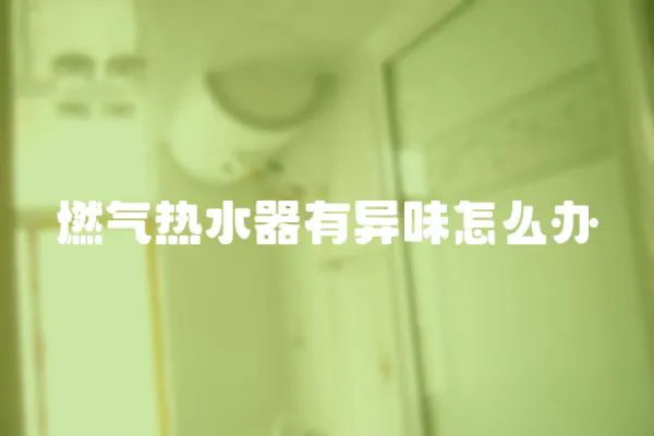 燃氣熱水器有異味怎么辦