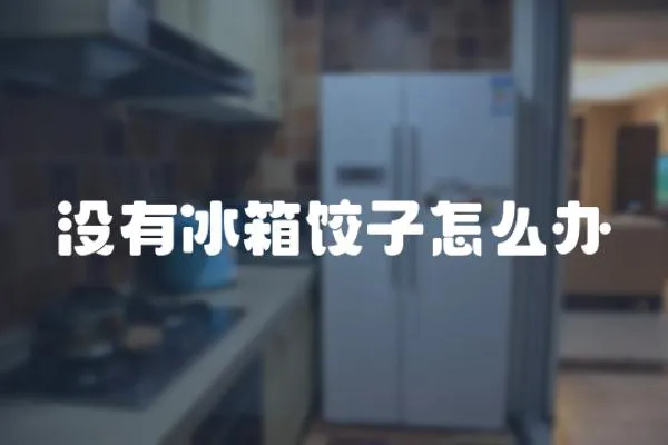 沒有冰箱餃子怎么辦