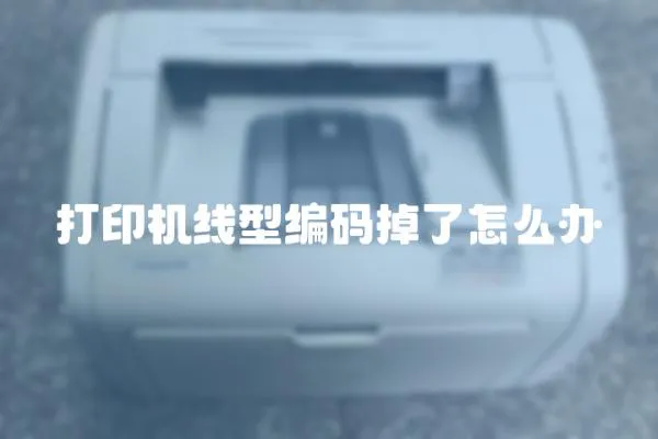 打印機(jī)線型編碼掉了怎么辦