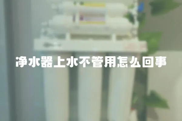 凈水器上水不管用怎么回事