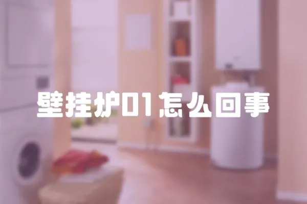 壁掛爐01怎么回事