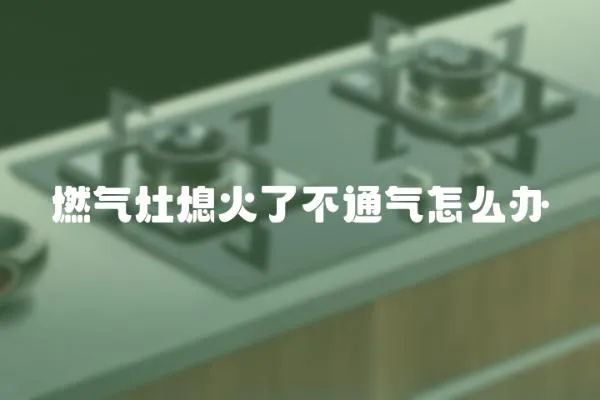 燃?xì)庠钕ɑ鹆瞬煌庠趺崔k