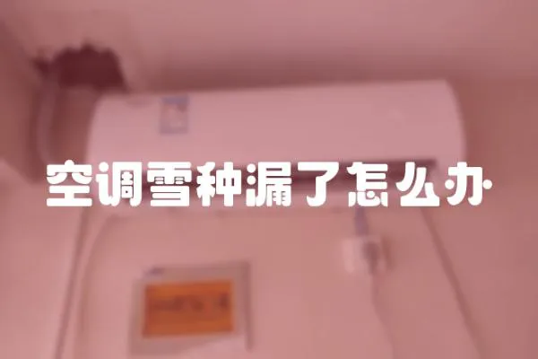 空調雪種漏了怎么辦
