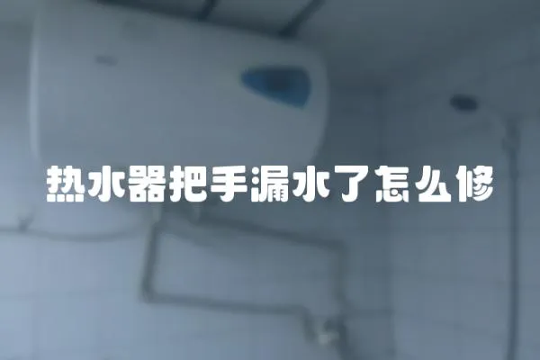 熱水器把手漏水了怎么修