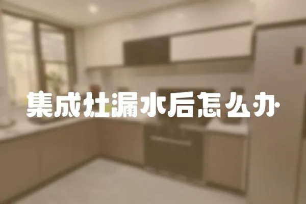 集成灶漏水后怎么辦