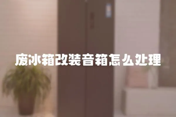 廢冰箱改裝音箱怎么處理