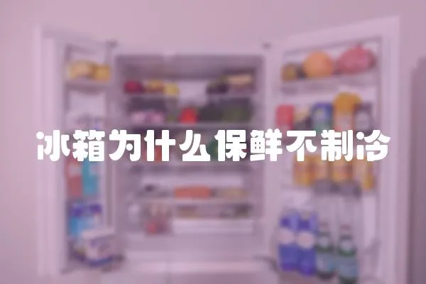 冰箱為什么保鮮不制冷