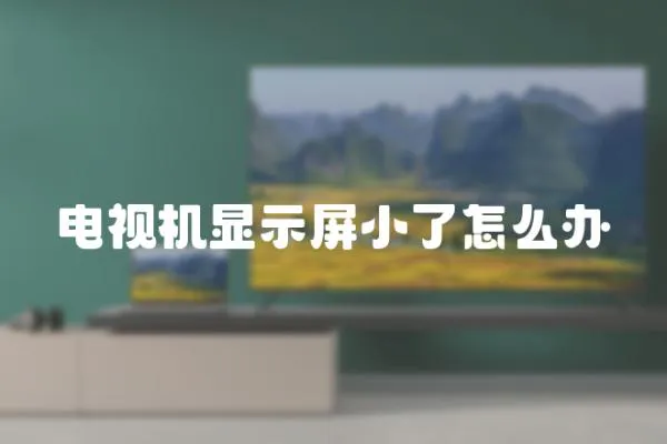 電視機顯示屏小了怎么辦