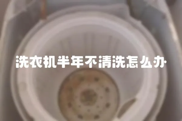 洗衣機半年不清洗怎么辦