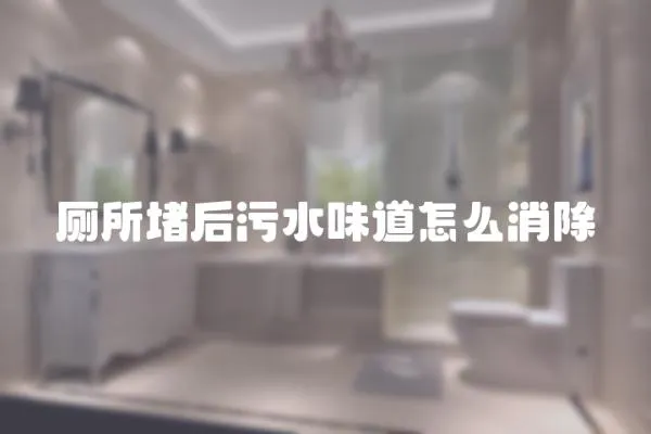 廁所堵后污水味道怎么消除