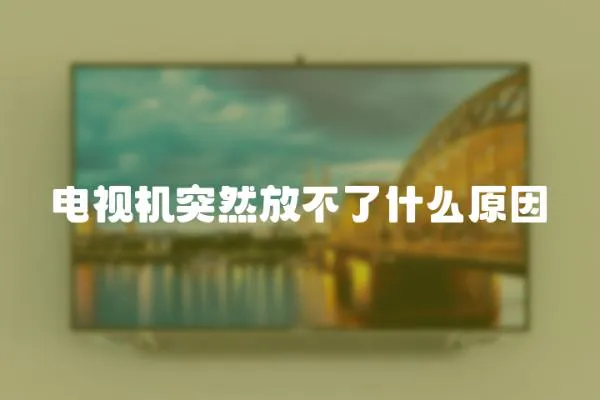 電視機(jī)突然放不了什么原因