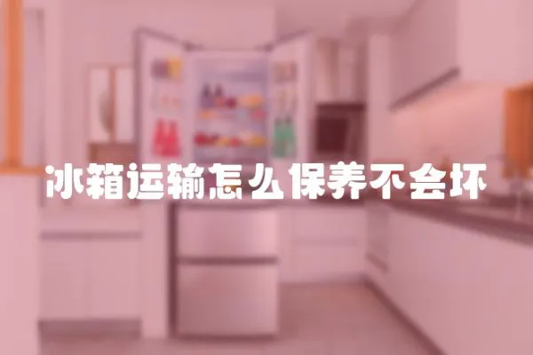 冰箱運(yùn)輸怎么保養(yǎng)不會(huì)壞