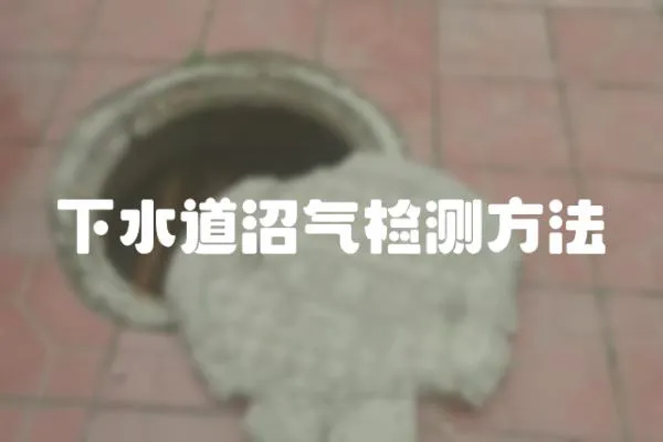 下水道沼气检测方法