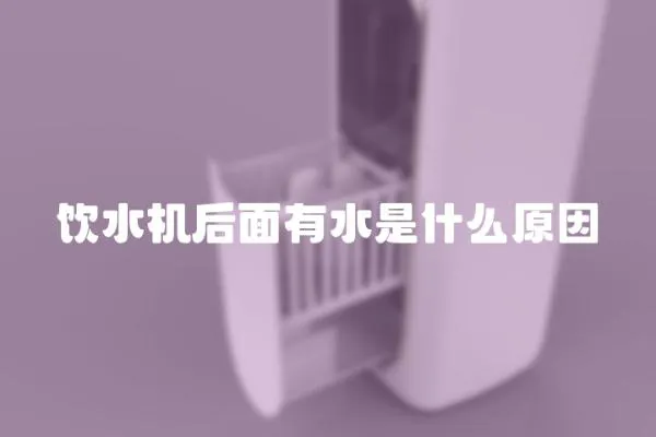 飲水機后面有水是什么原因