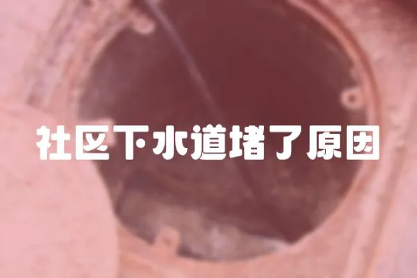 社區下水道堵了原因