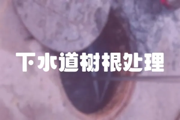 下水道樹根處理