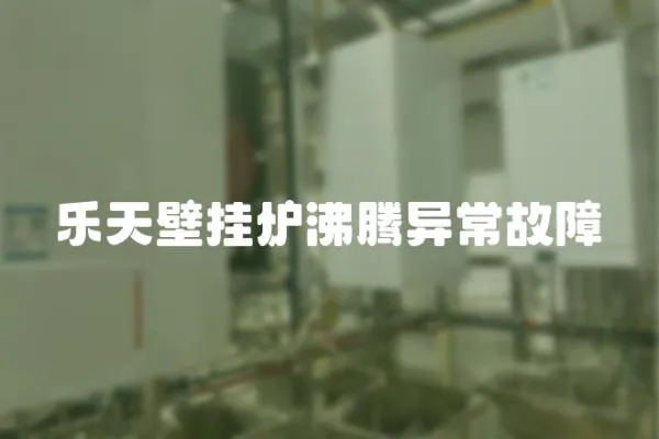 樂天壁掛爐沸騰異常故障