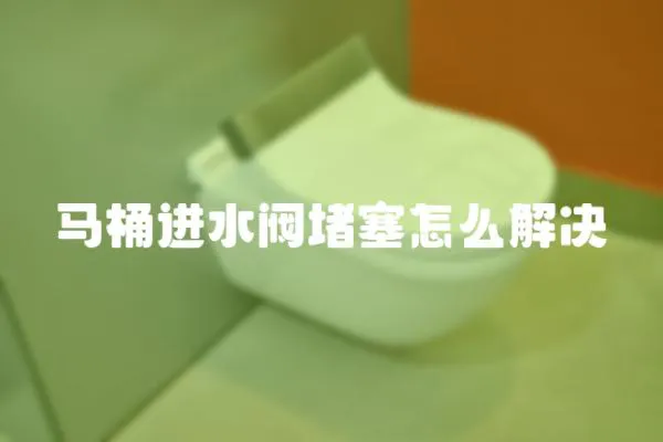 馬桶進水閥堵塞怎么解決