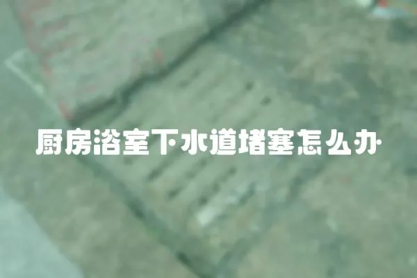 廚房浴室下水道堵塞怎么辦