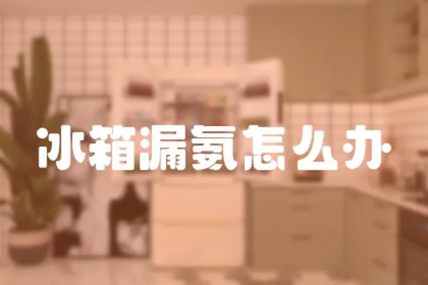冰箱漏氨怎么辦