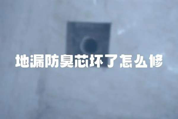 地漏防臭芯壞了怎么修