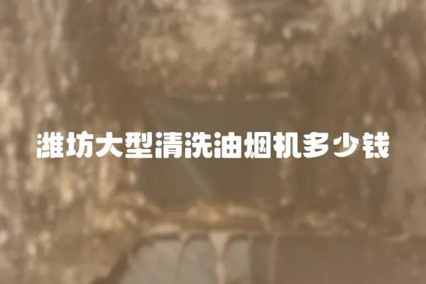 濰坊大型清洗油煙機多少錢