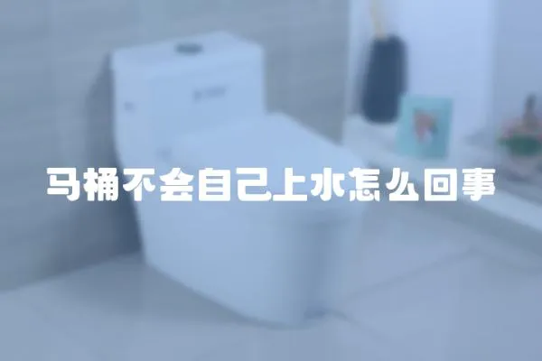 馬桶不會自己上水怎么回事