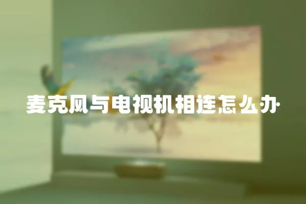 麥克風(fēng)與電視機(jī)相連怎么辦